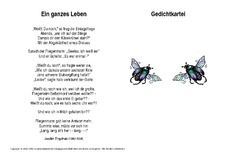 Ein-ganzes-Leben-Ringelnatz.pdf